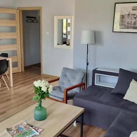 Okno Na Zamek Malbork